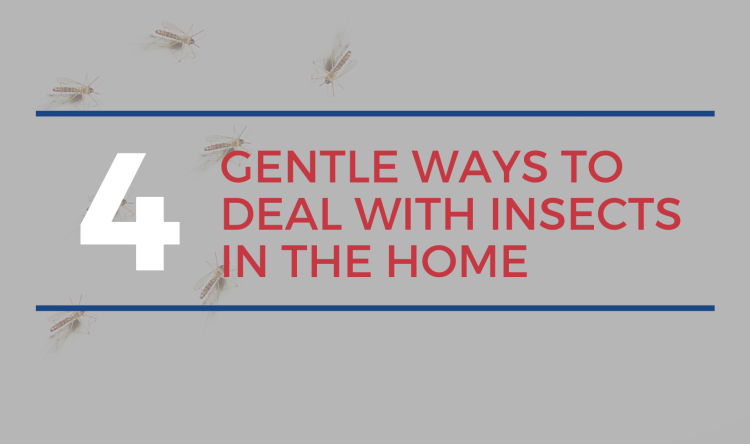 Guelph Real Estate Agents - Gentle Ways to Deal with Insects
